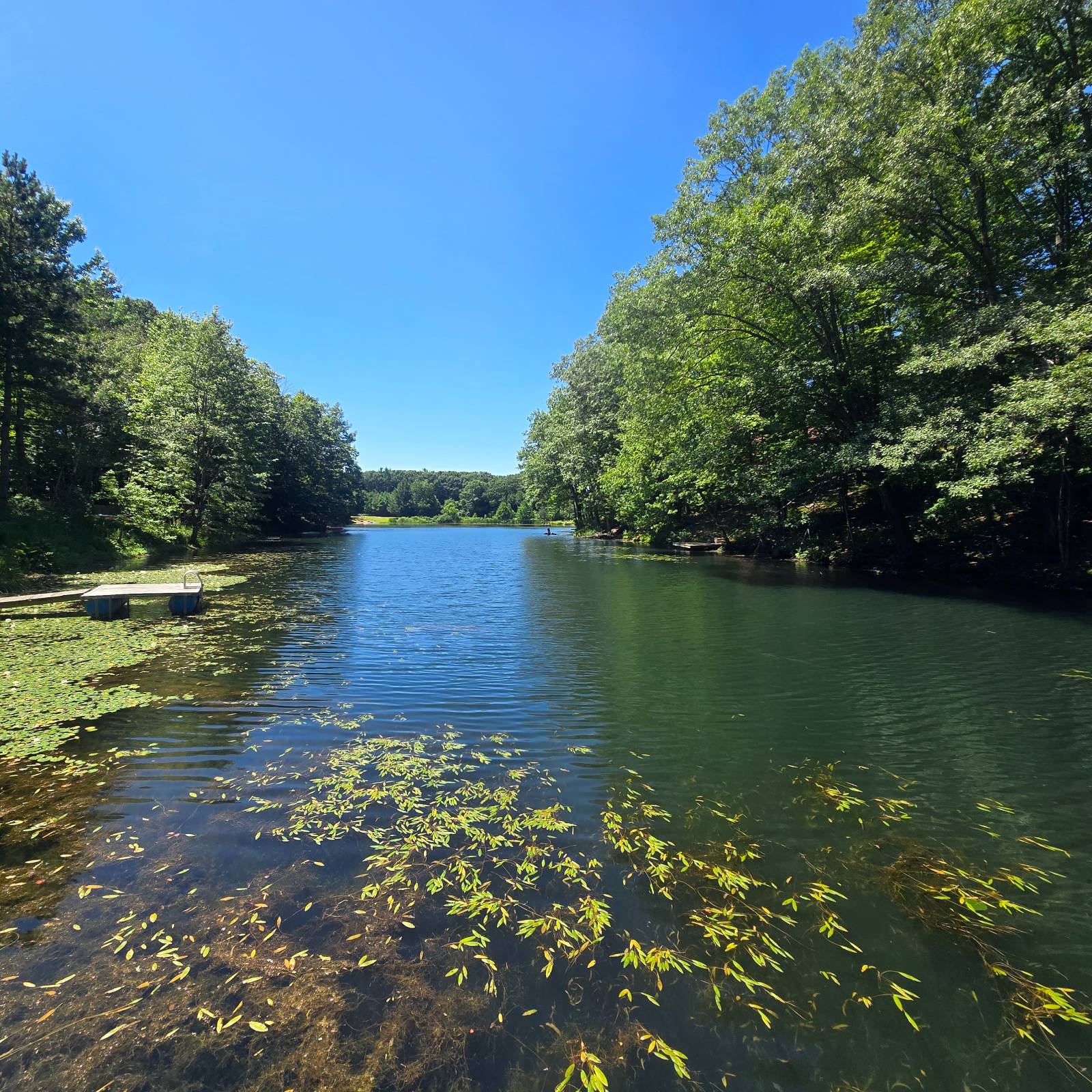 #19 photo, 56 Fawn Lake Rd, Altmar , NY 13302