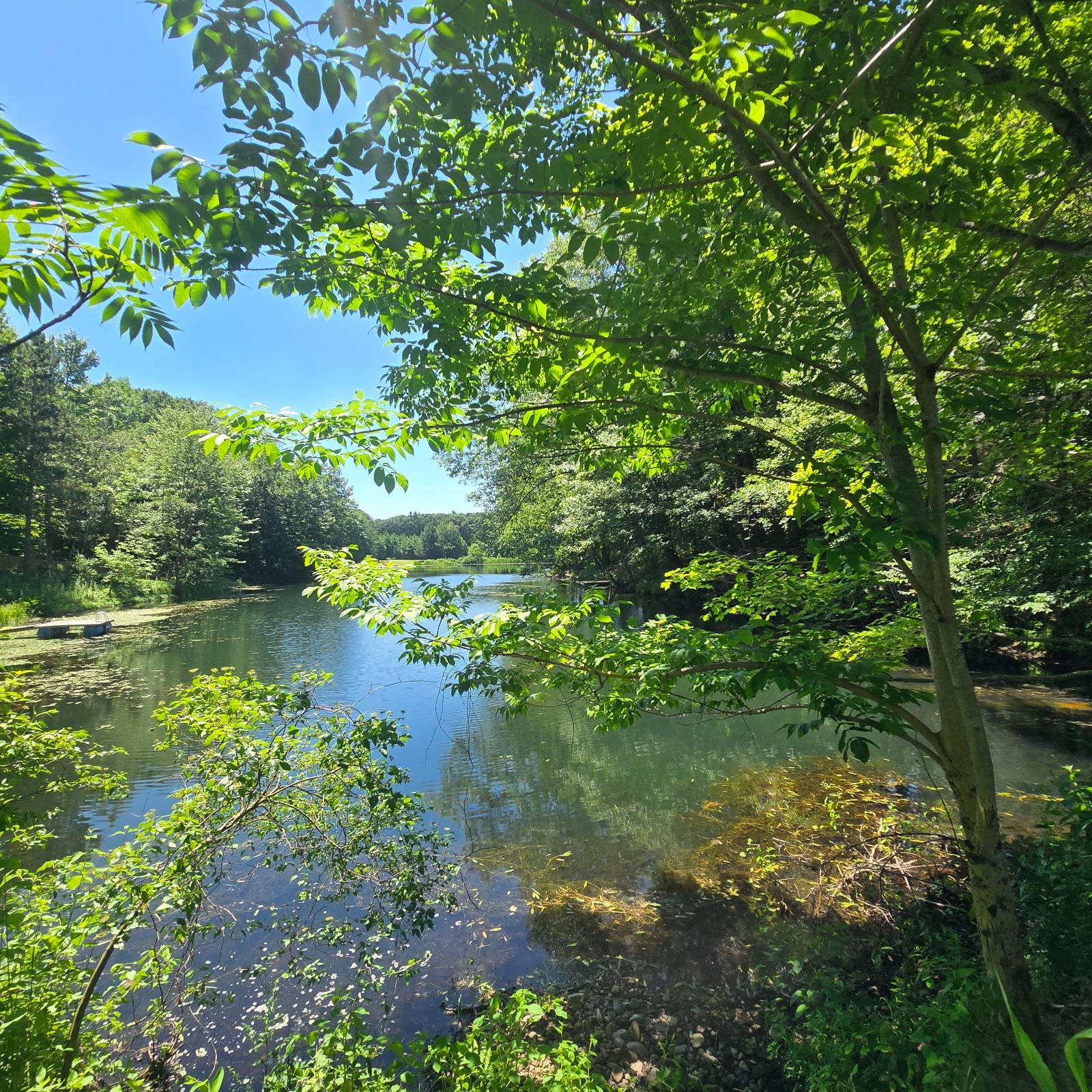 #31 photo, 56 Fawn Lake Rd, Altmar , NY 13302