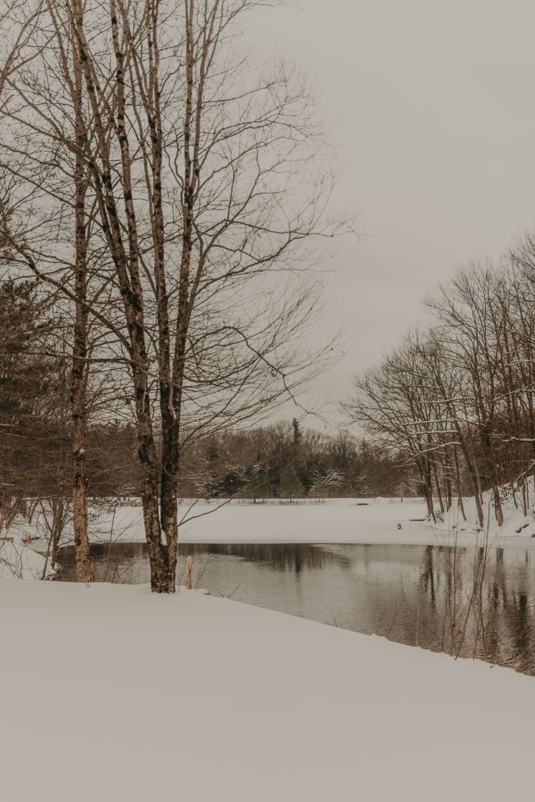 #44 photo, 56 Fawn Lake Rd, Altmar , NY 13302