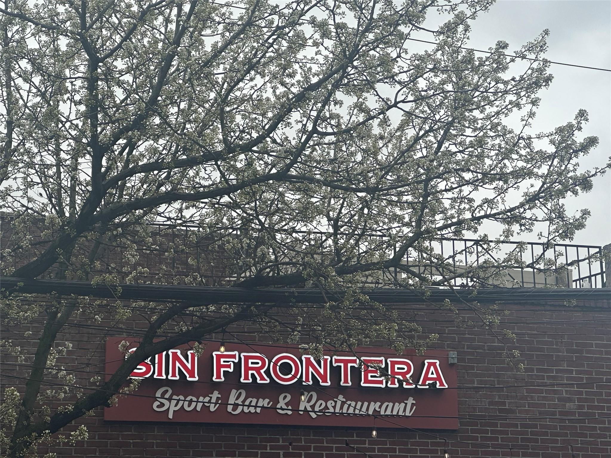 #16 photo, 94 Union Avenue, New Rochelle , NY 10801