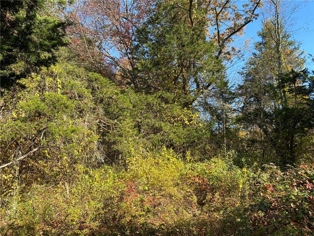 #5 photo, Beaver Rd (Jackson Crs), Red Hook , NY 12571