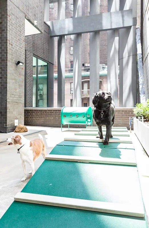 #7 photo, 15 WILLIAM Street, マンハッタン Financial District , NY 10004