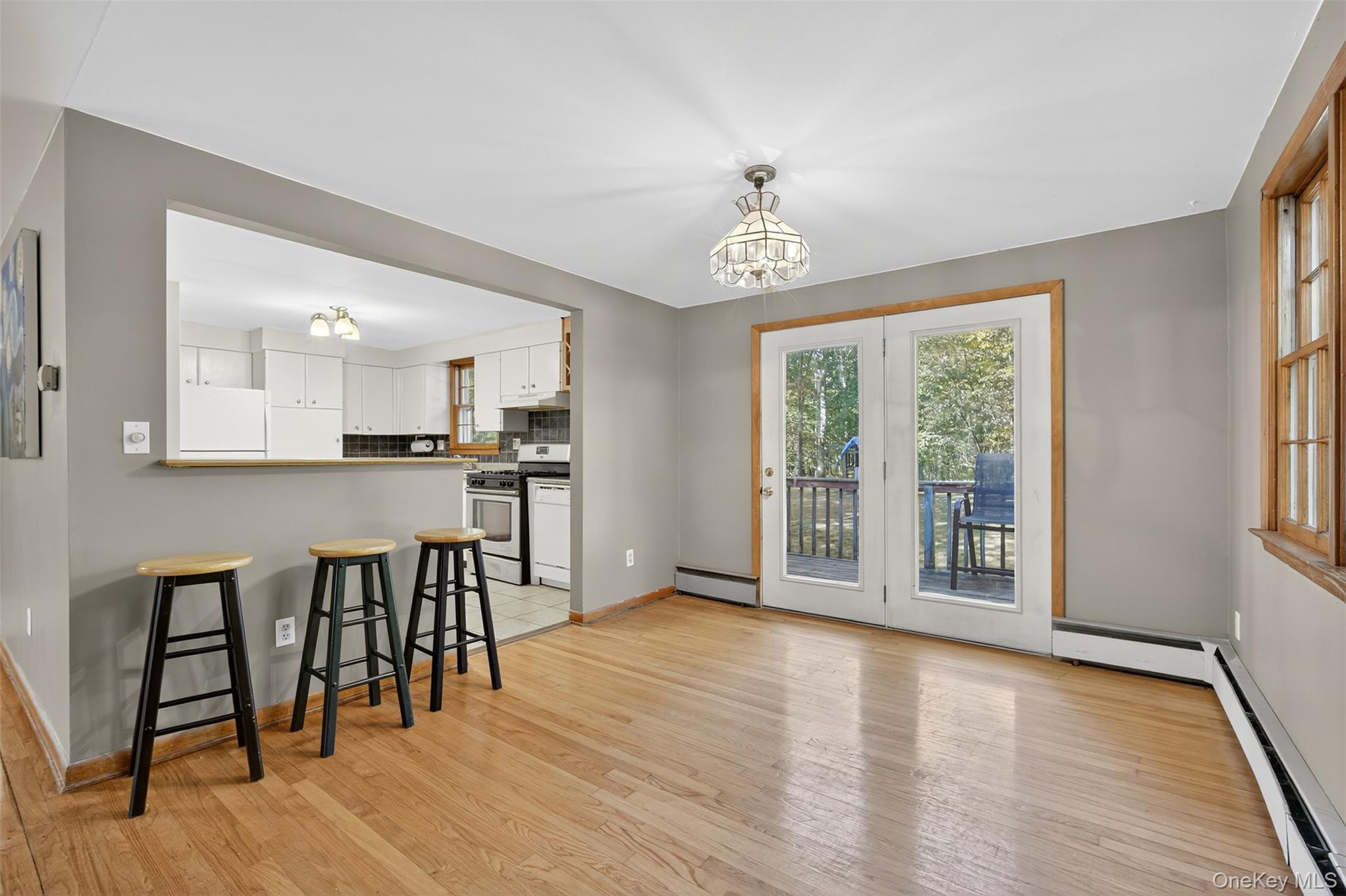 #10 photo, 203 Martin Road, Lagrangeville , NY 12540