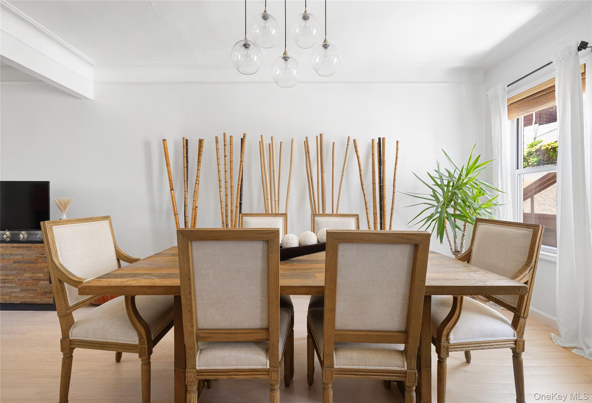 #11 photo, 138 Wakeman Place, ブルックリン区 Brooklyn , NY 11220