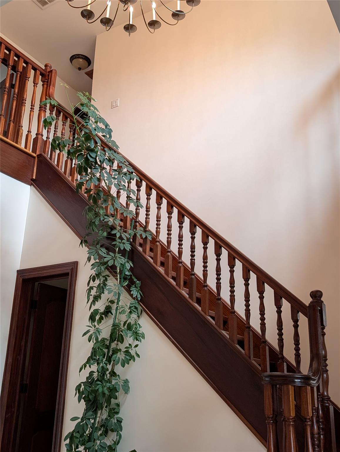 #14 photo, 15 Lenzie Street, スタテンアイランド Staten Island , NY 10312