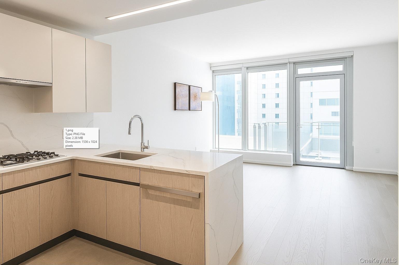 #14 photo, 133-27 39th Avenue, クイーンズ区 Flushing , NY 11354