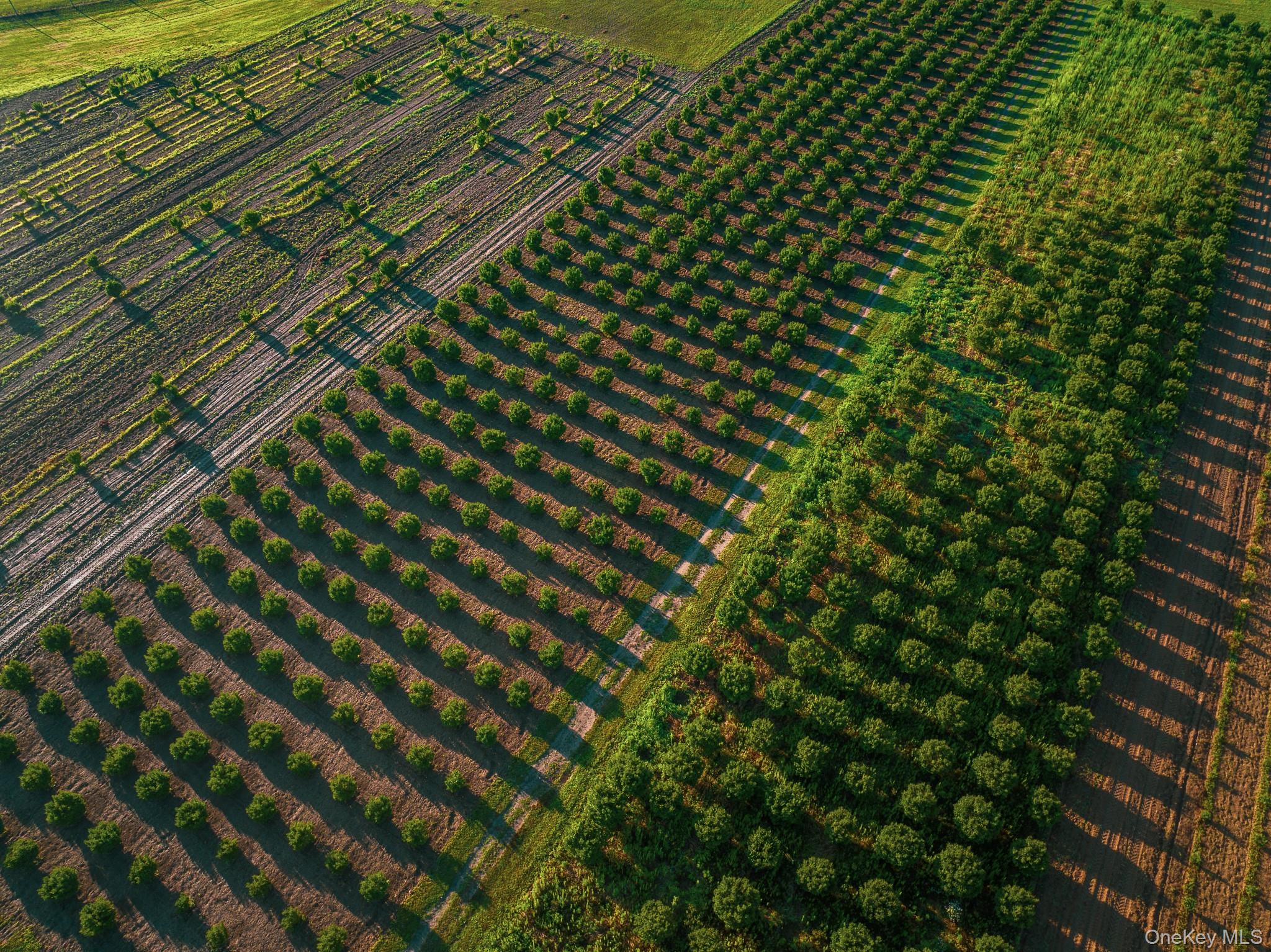 #3 photo, 34600, 34750 & 34920 Route 25, サフォーク郡 Orient , NY 11957