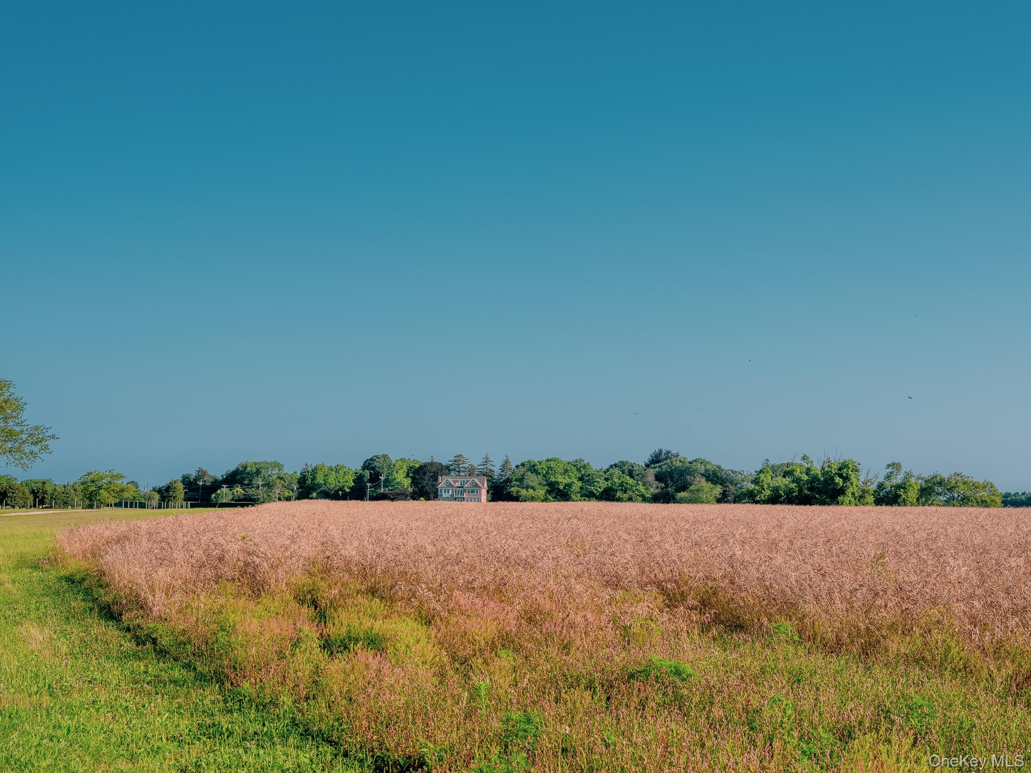 #5 photo, 34600, 34750 & 34920 Route 25, サフォーク郡 Orient , NY 11957