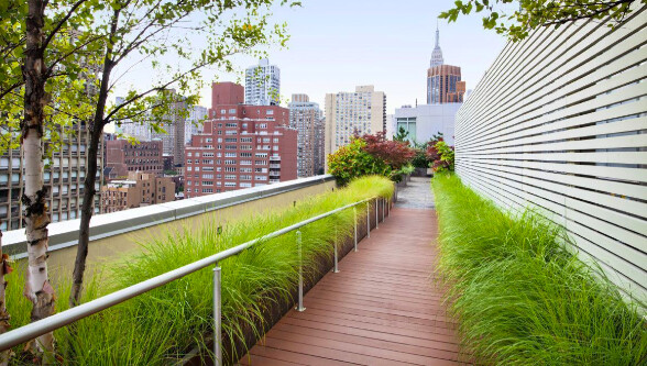 #18 photo, New York City, Kips Bay , NY 10016