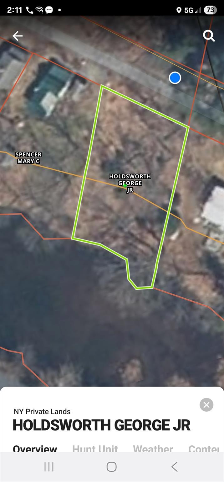 #10 photo, Lot 10 Odd Fellows Hall aka Grove Street Street, Narrowsburg , NY 12764