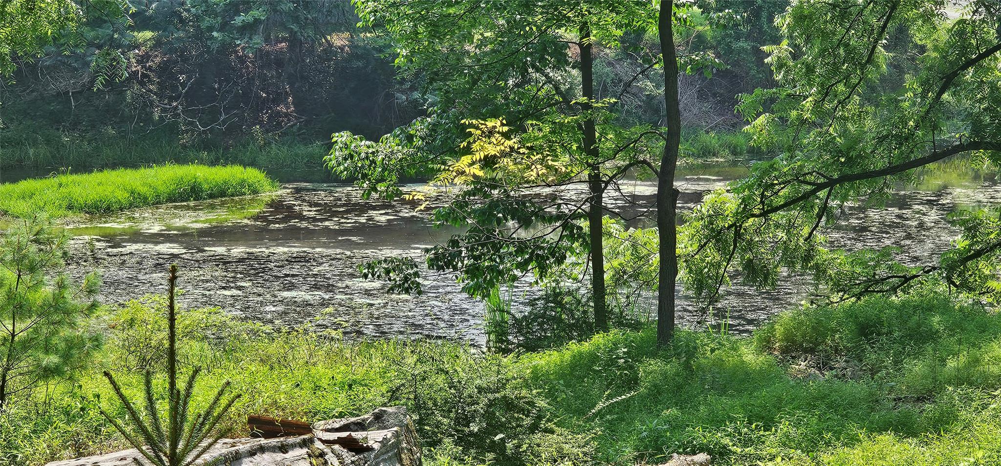 #6 photo, Lot 10 Odd Fellows Hall aka Grove Street Street, Narrowsburg , NY 12764