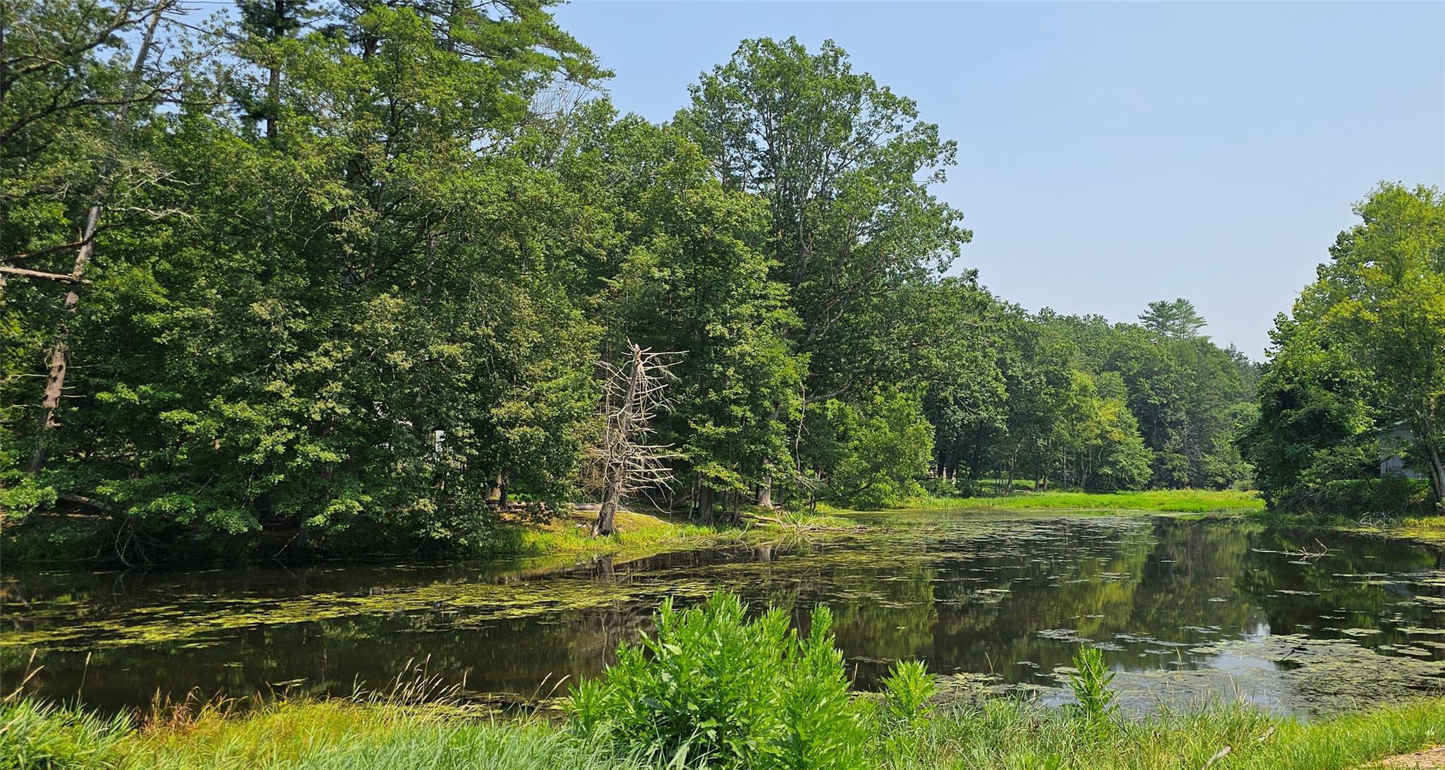 #7 photo, Lot 10 Odd Fellows Hall aka Grove Street Street, Narrowsburg , NY 12764