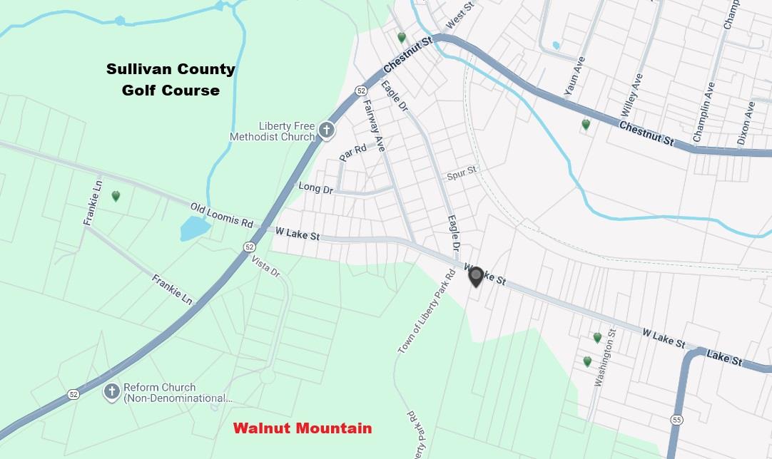 #15 photo, 316 W Lake Street, Liberty , NY 12754