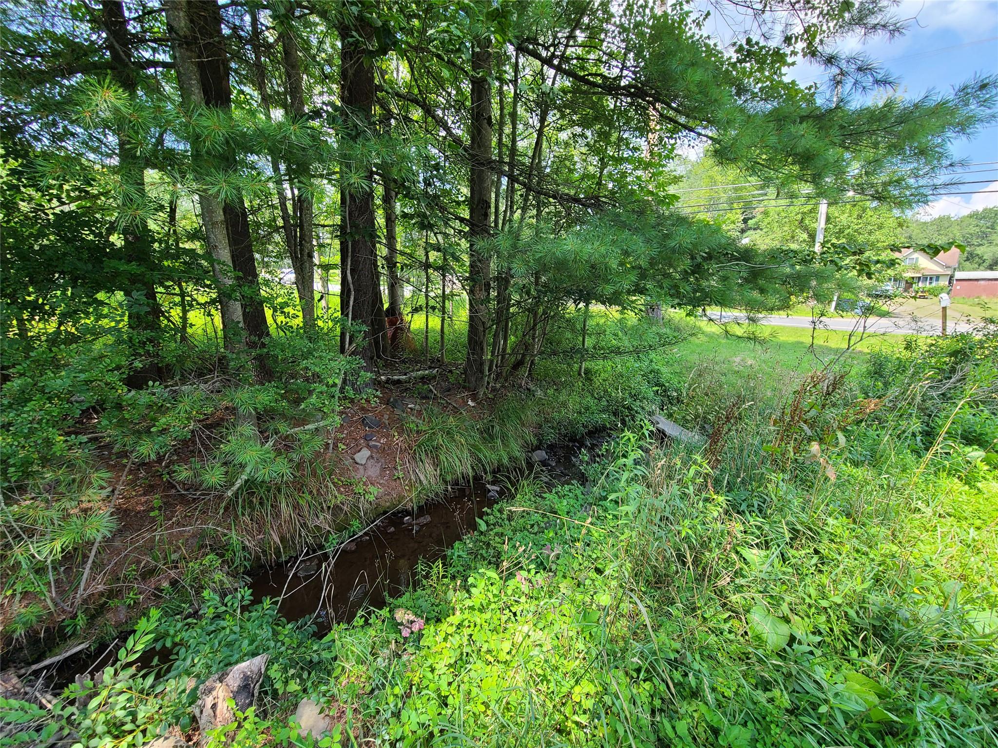 #5 photo, 316 W Lake Street, Liberty , NY 12754