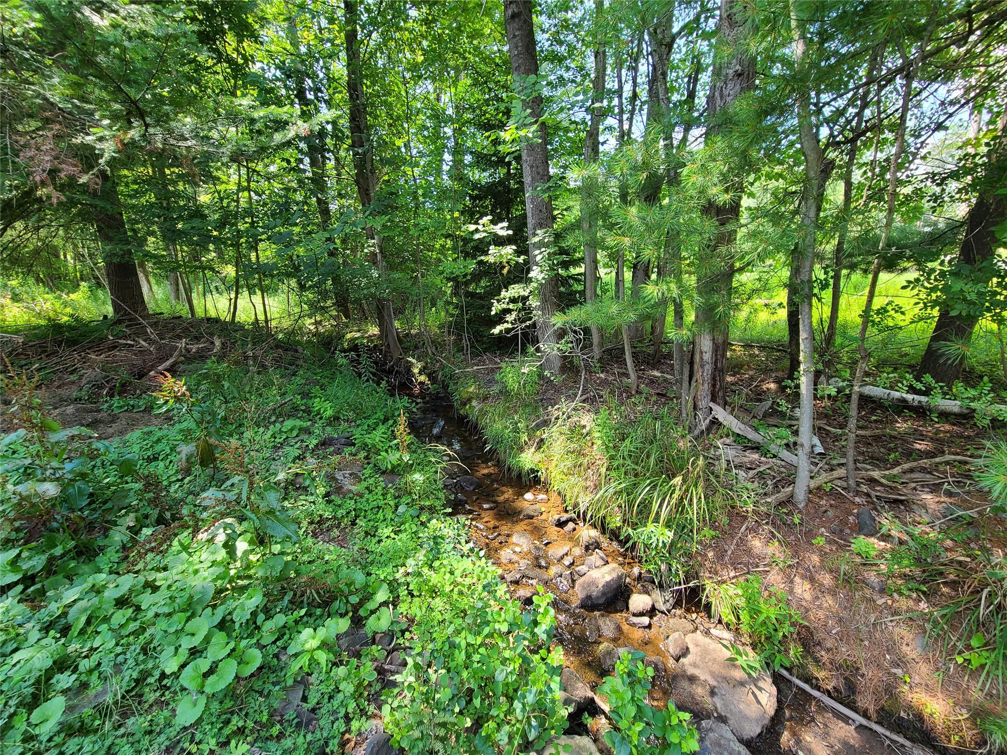 #8 photo, 316 W Lake Street, Liberty , NY 12754