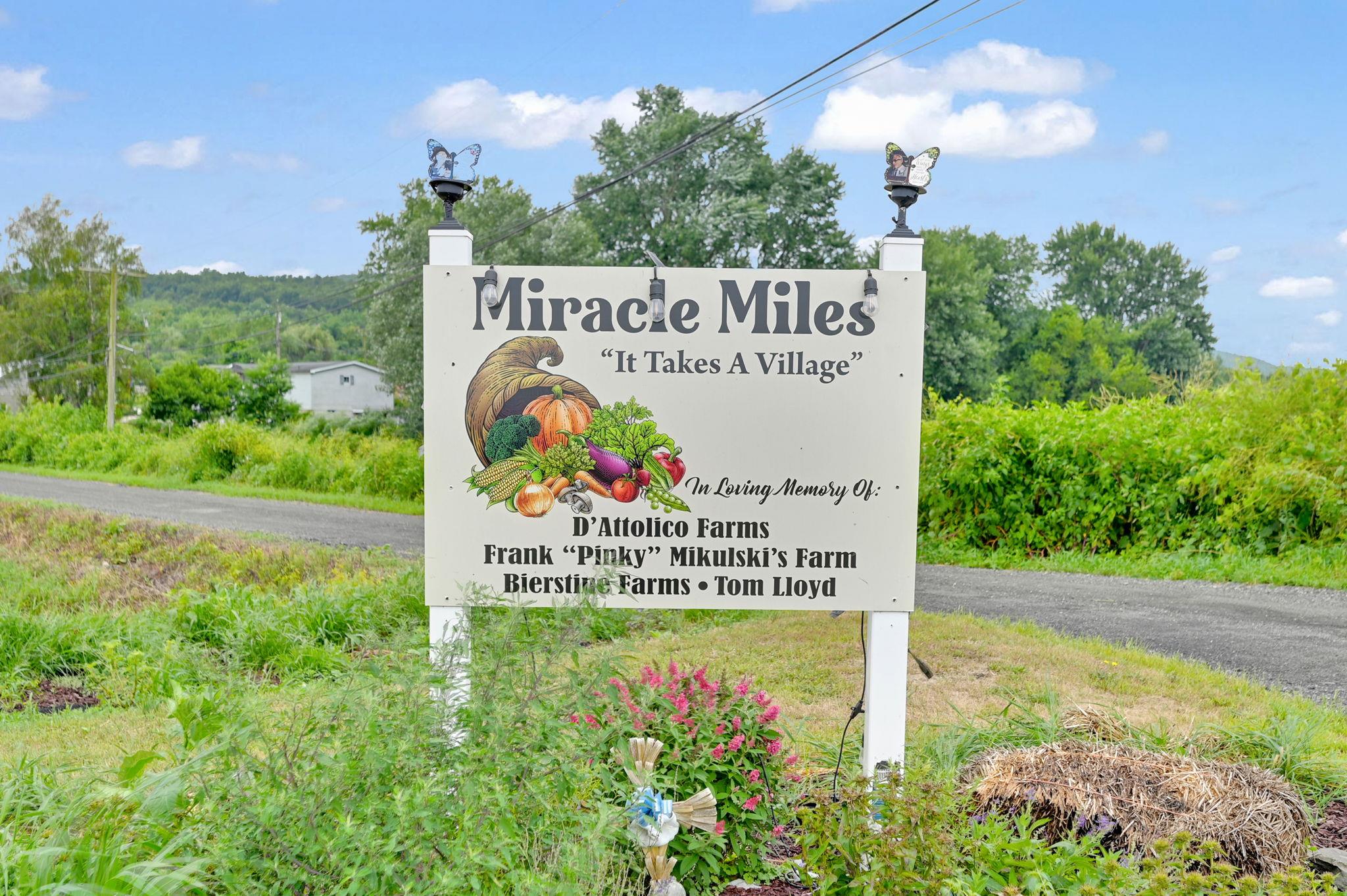 #1 photo, 399 Mission Land Road, 纽约州 Pine Island , NY 10969