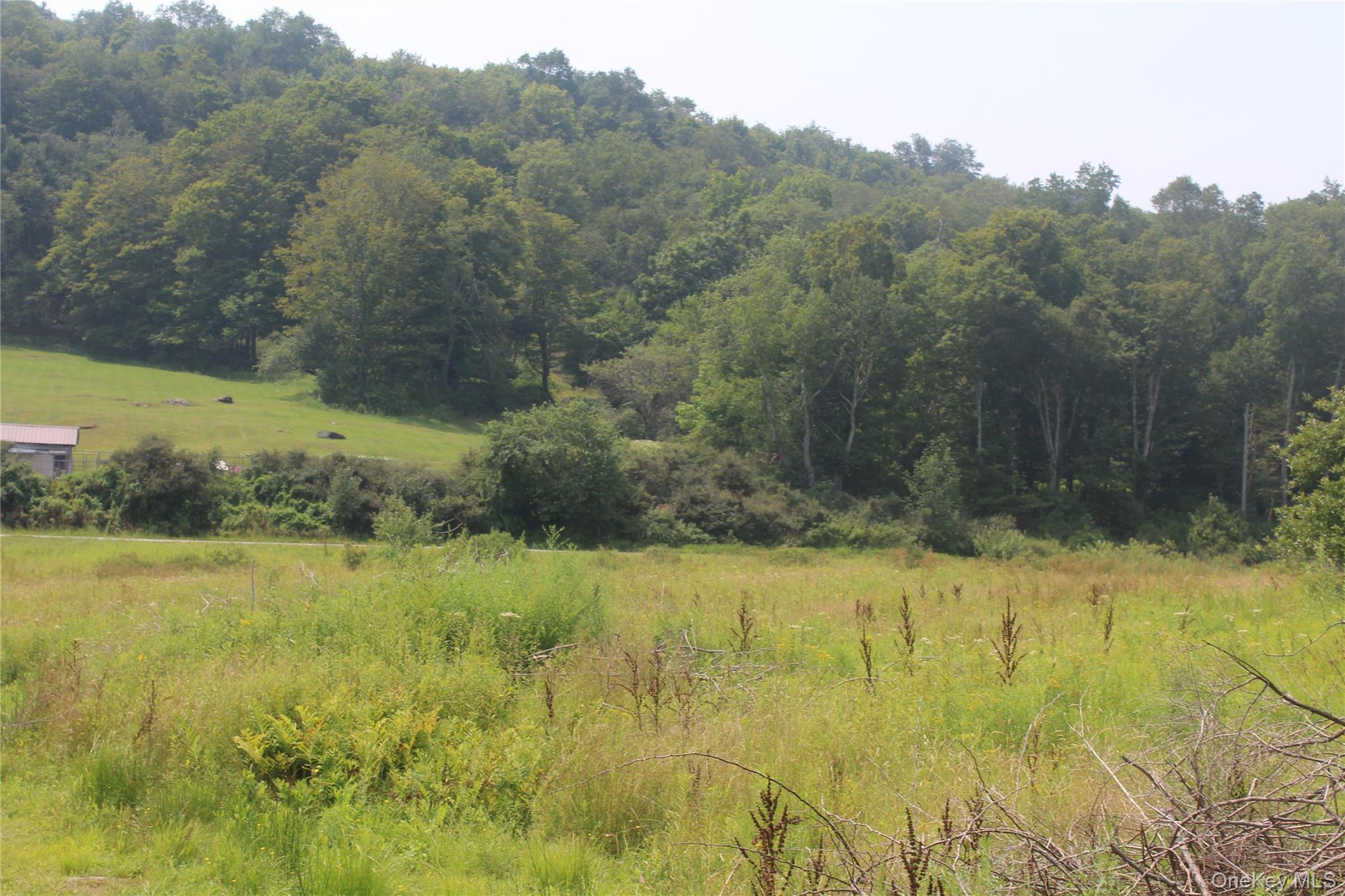 #1 photo, Dutch Hill, Call Listing Agent , NY 12776