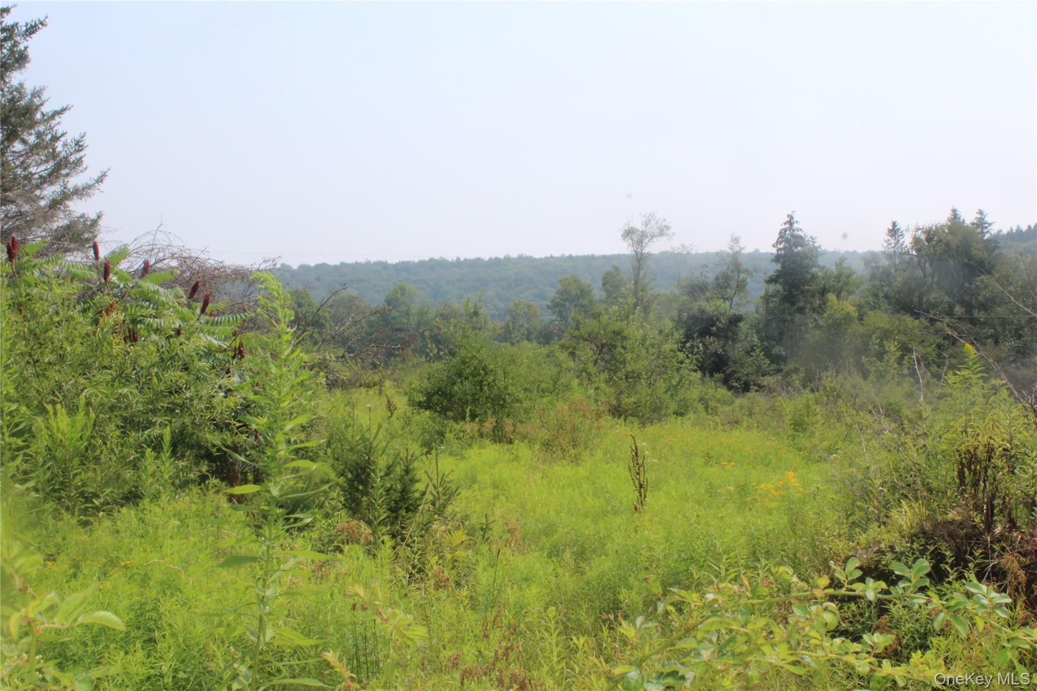 #14 photo, Dutch Hill, Call Listing Agent , NY 12776