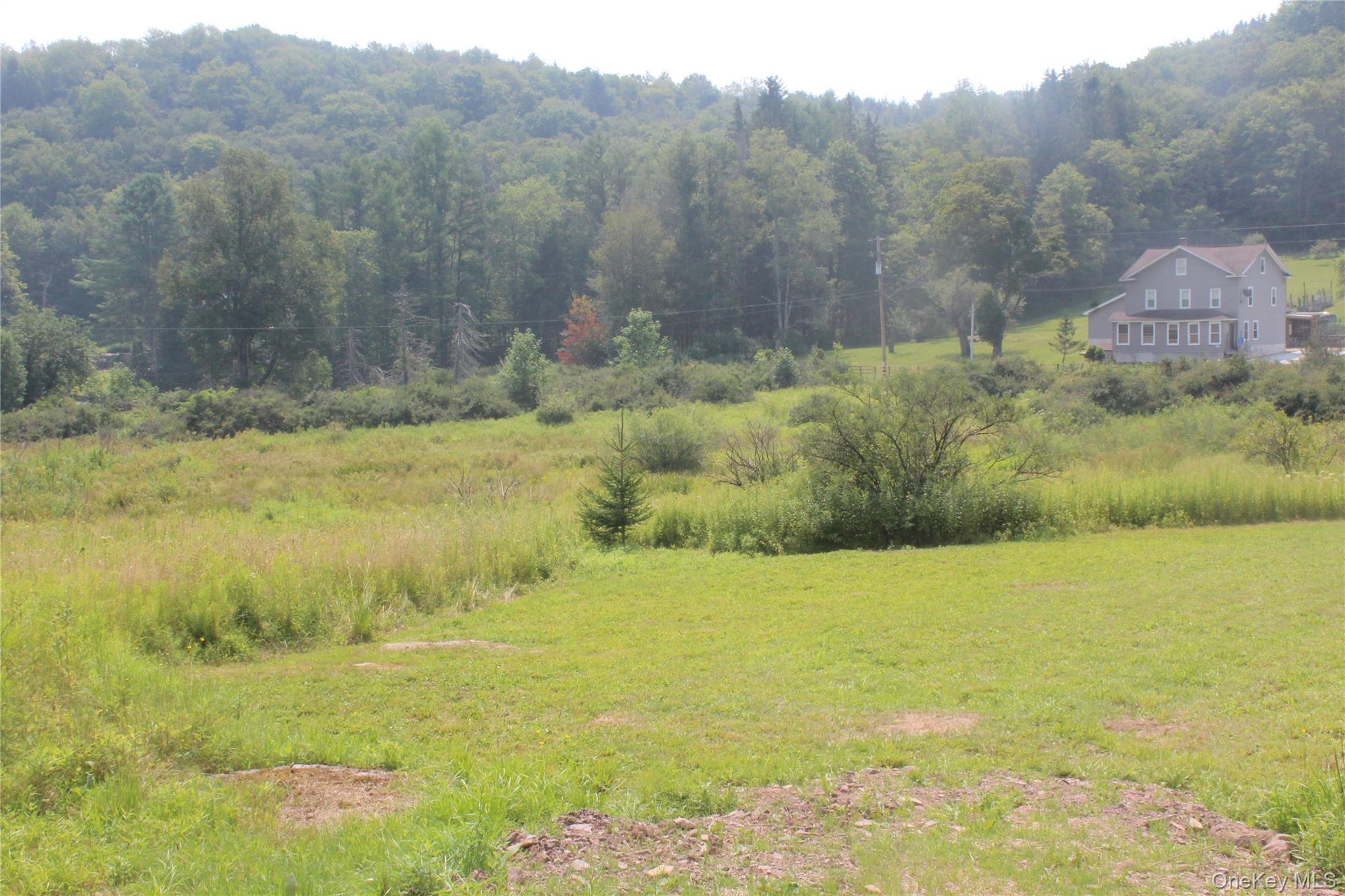 #16 photo, Dutch Hill, Call Listing Agent , NY 12776