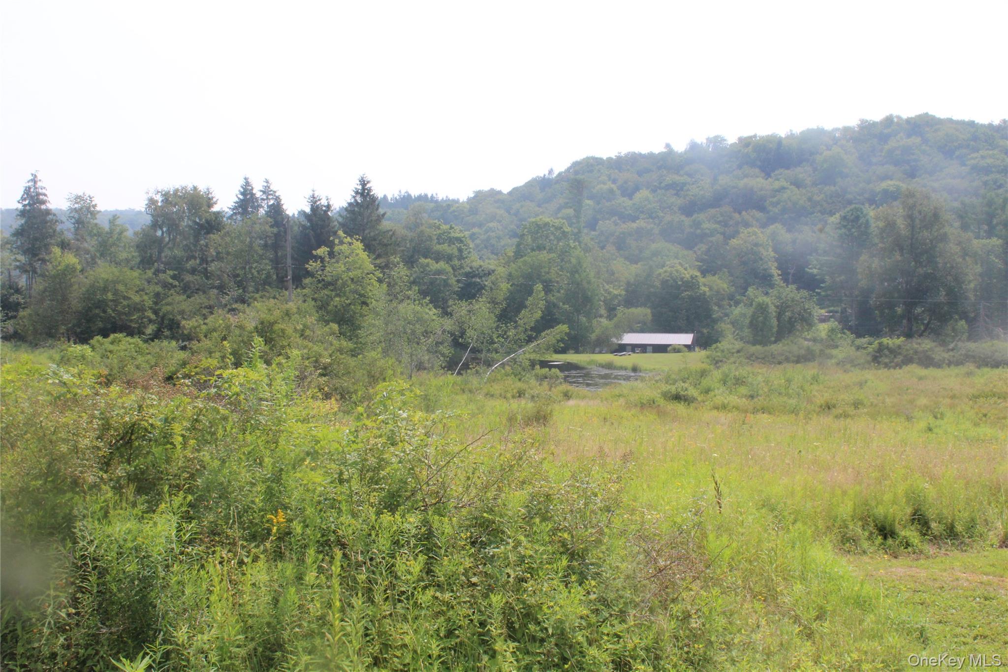 #17 photo, Dutch Hill, Call Listing Agent , NY 12776