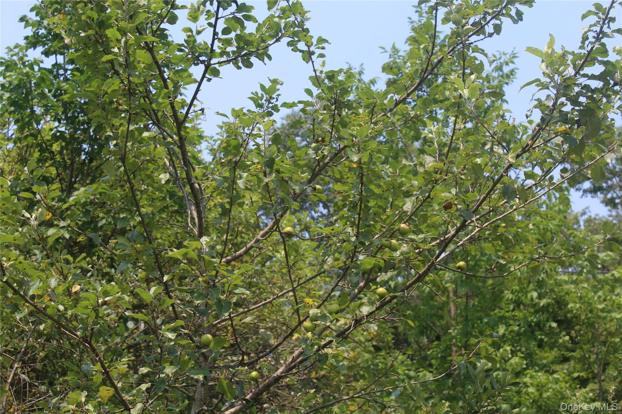 #18 photo, Dutch Hill, Call Listing Agent , NY 12776