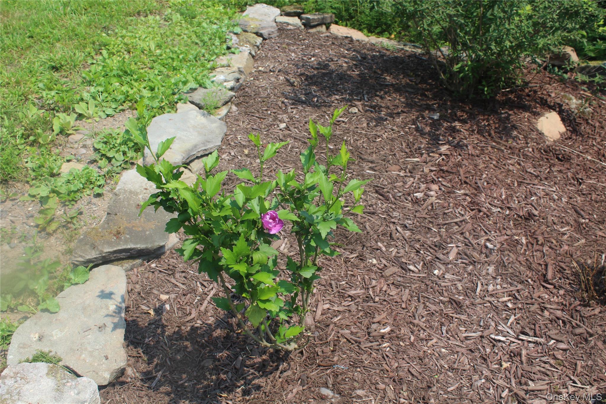 #19 photo, Dutch Hill, Call Listing Agent , NY 12776