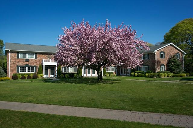 #1 photo, 56 Horseblock Road, サフォーク郡 Centereach , NY 11720