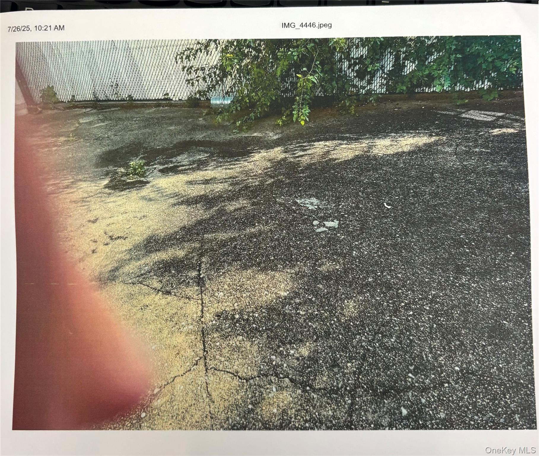 #3 photo, 1243 E 91 ST Street, ブルックリン区 Brooklyn , NY 11236