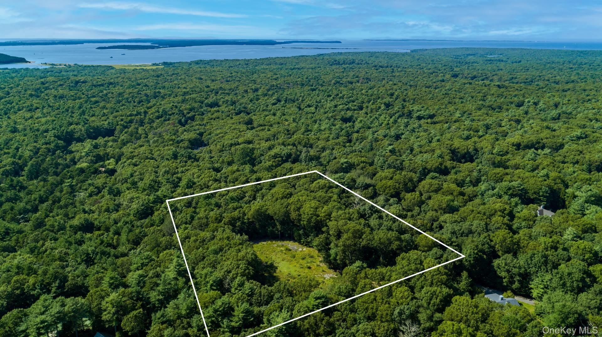 #4 photo, 1593 Deerfield Rd., サフォーク郡 Southampton , NY 11976