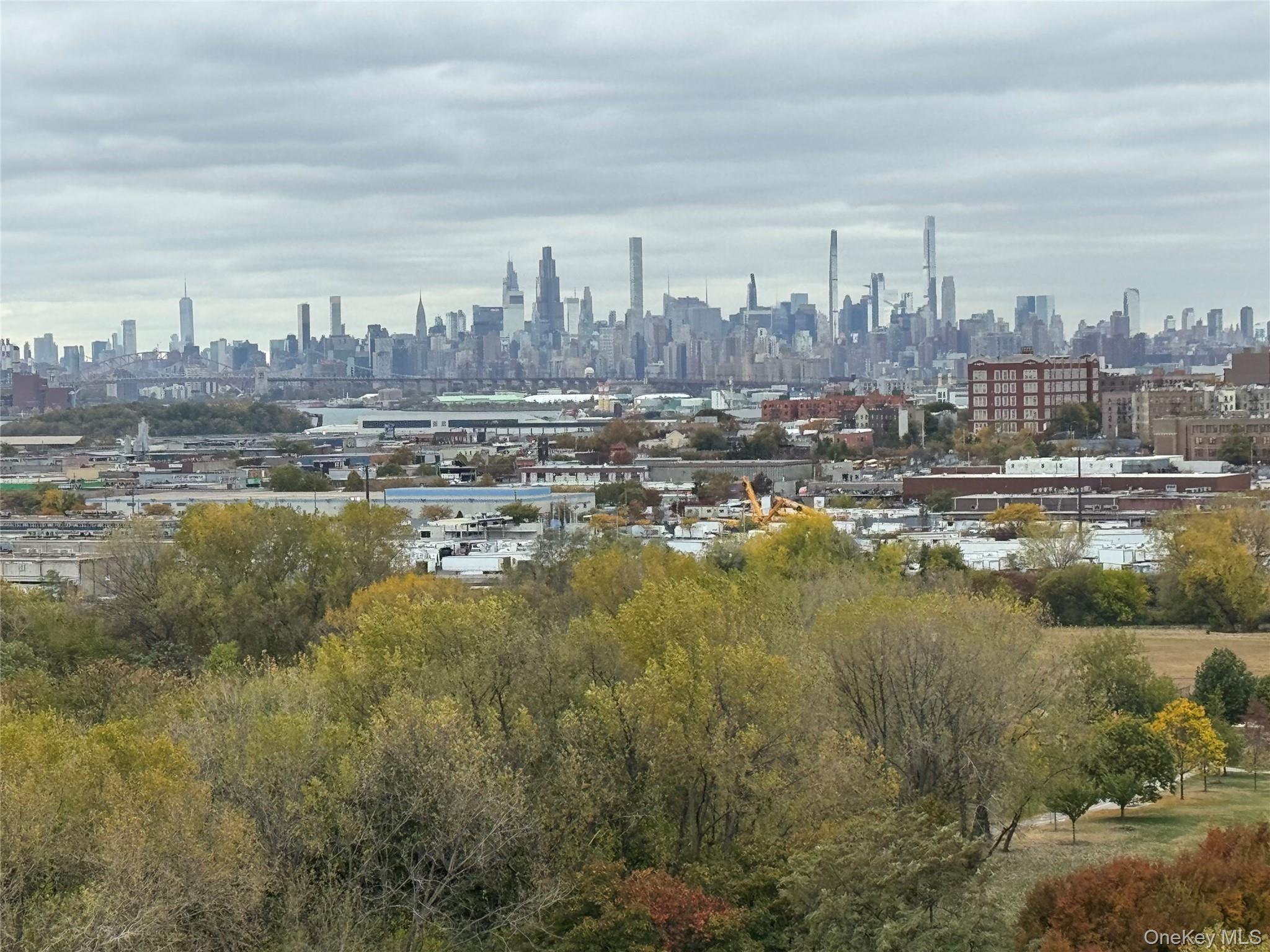 #4 photo, 825 Morrison Avenue, ブロンクス区 Bronx , NY 10473