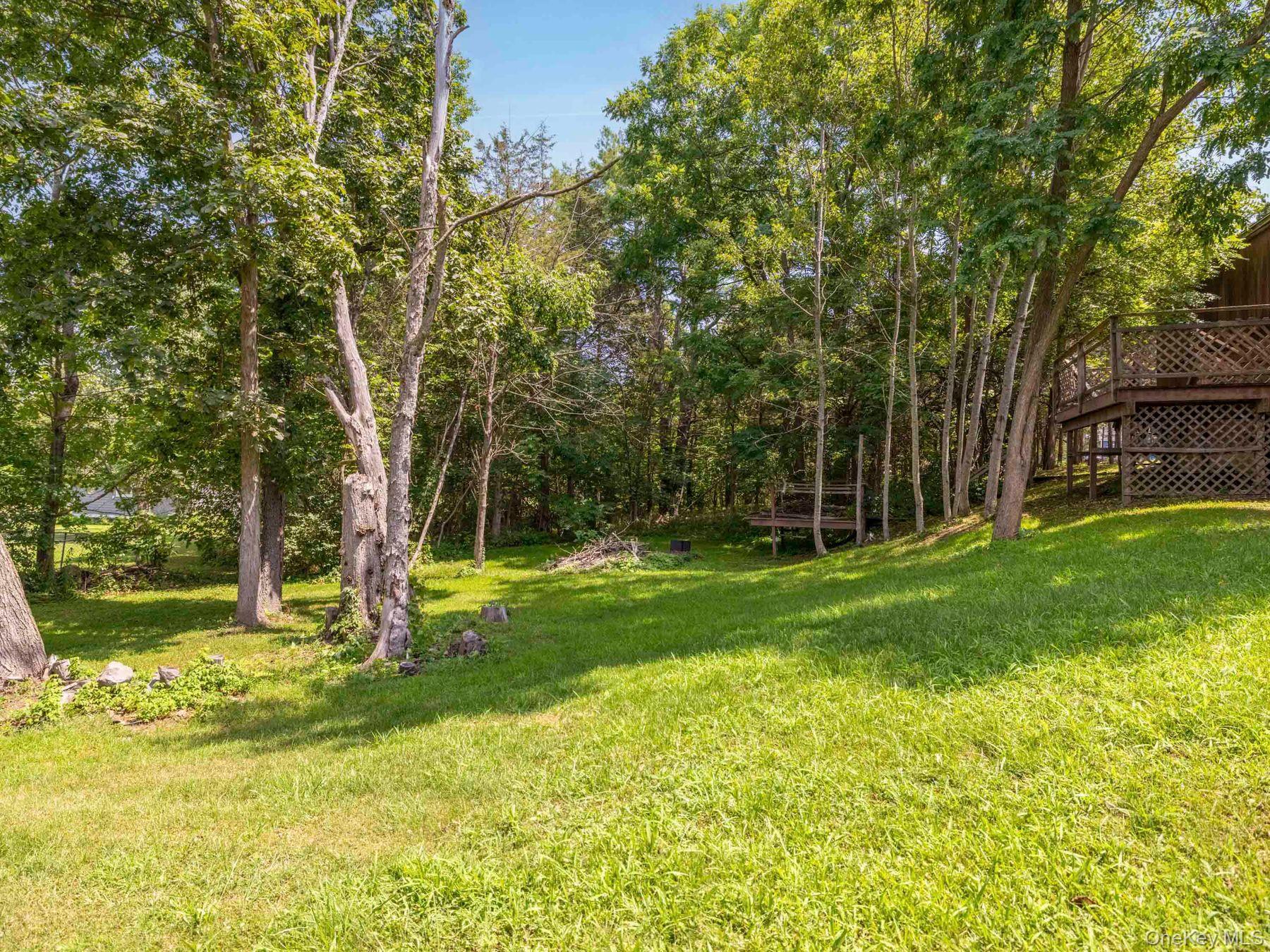 #20 photo, 98 S Lincoln Drive, Cairo , NY 12413