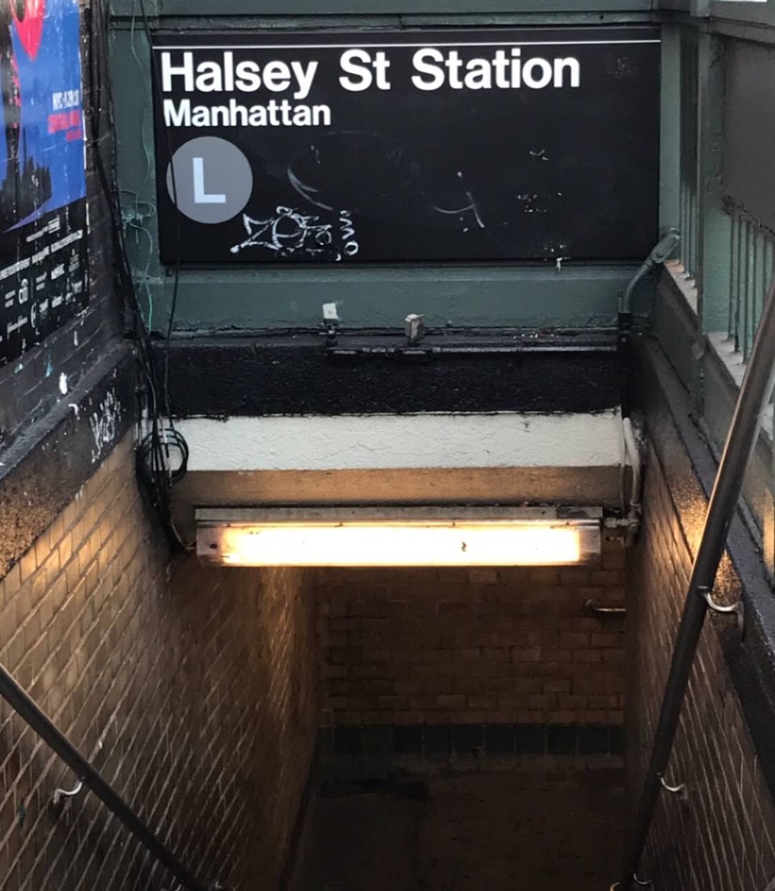 #12 photo, 6077 Myrtle Ave, クイーンズ区 Ridgewood , NY 11385