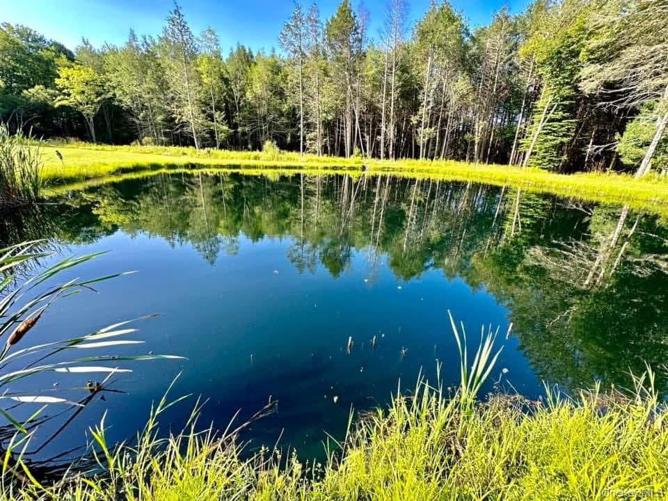 #5 photo, 595 Hurd And Parks Road, Swan Lake , NY 12783