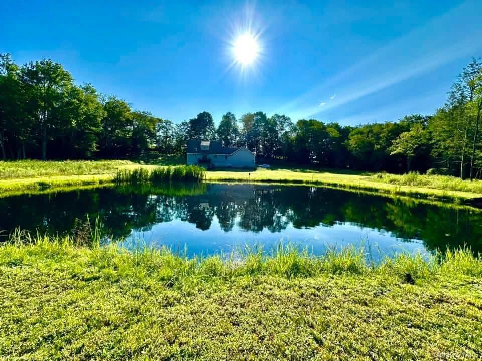 #6 photo, 595 Hurd And Parks Road, Swan Lake , NY 12783