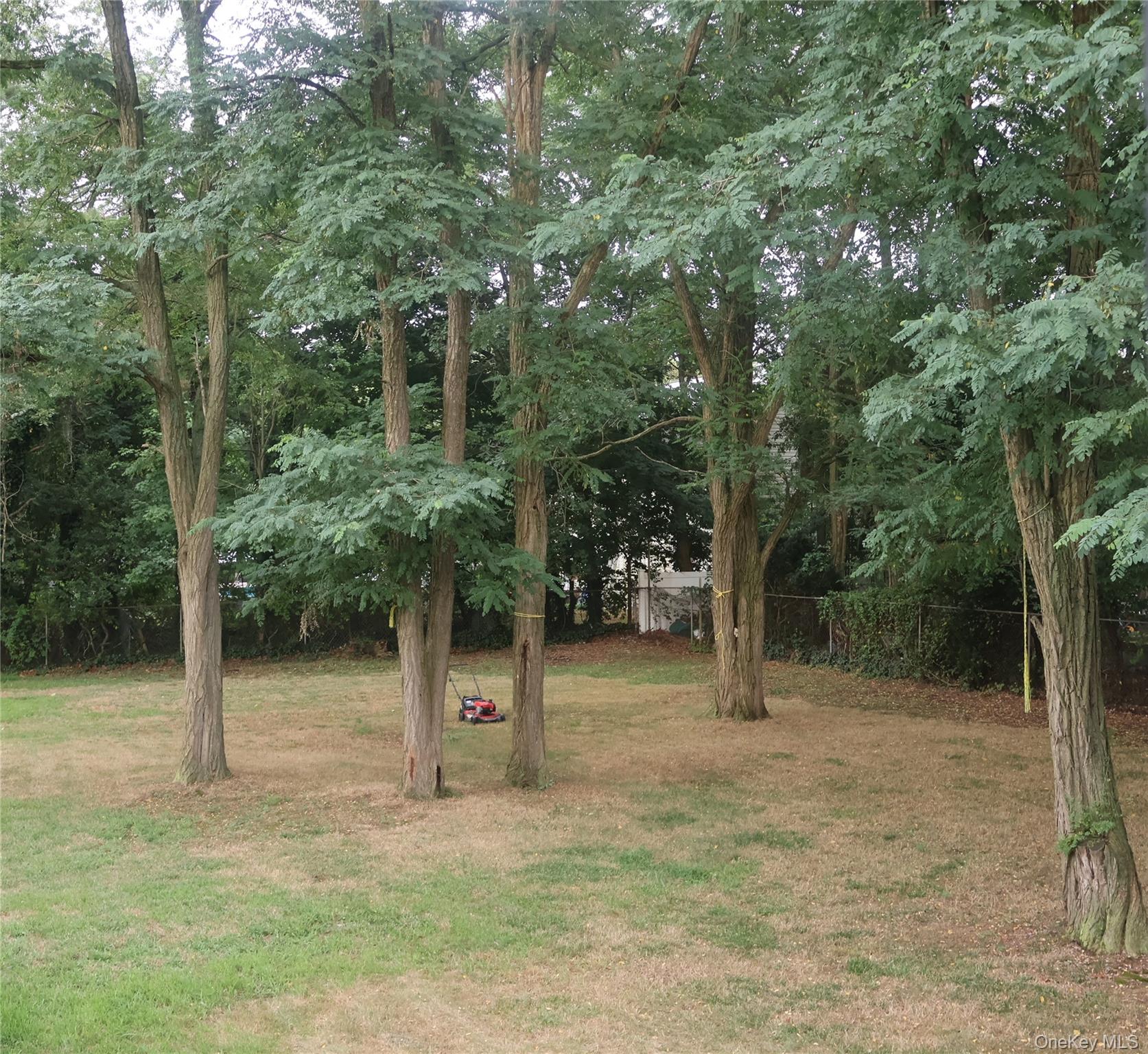 #6 photo, 113 Nicoll Avenue, サフォーク郡 Central Islip , NY 11722