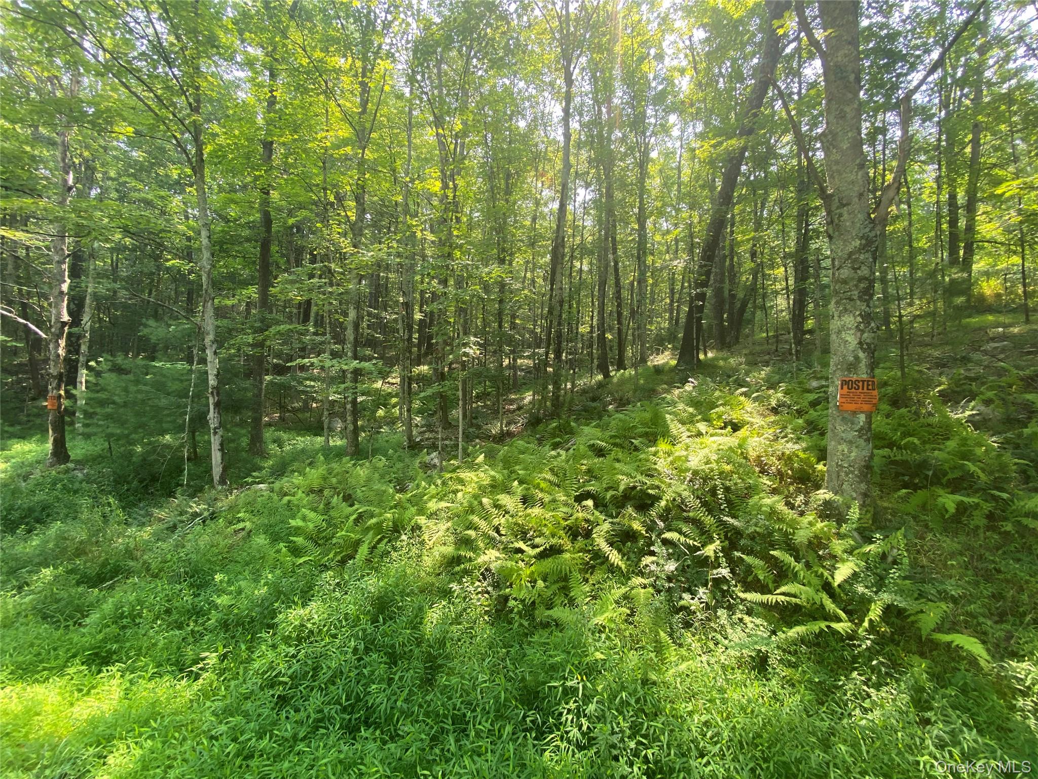 #2 photo, South Road, Wurtsboro , NY 12790