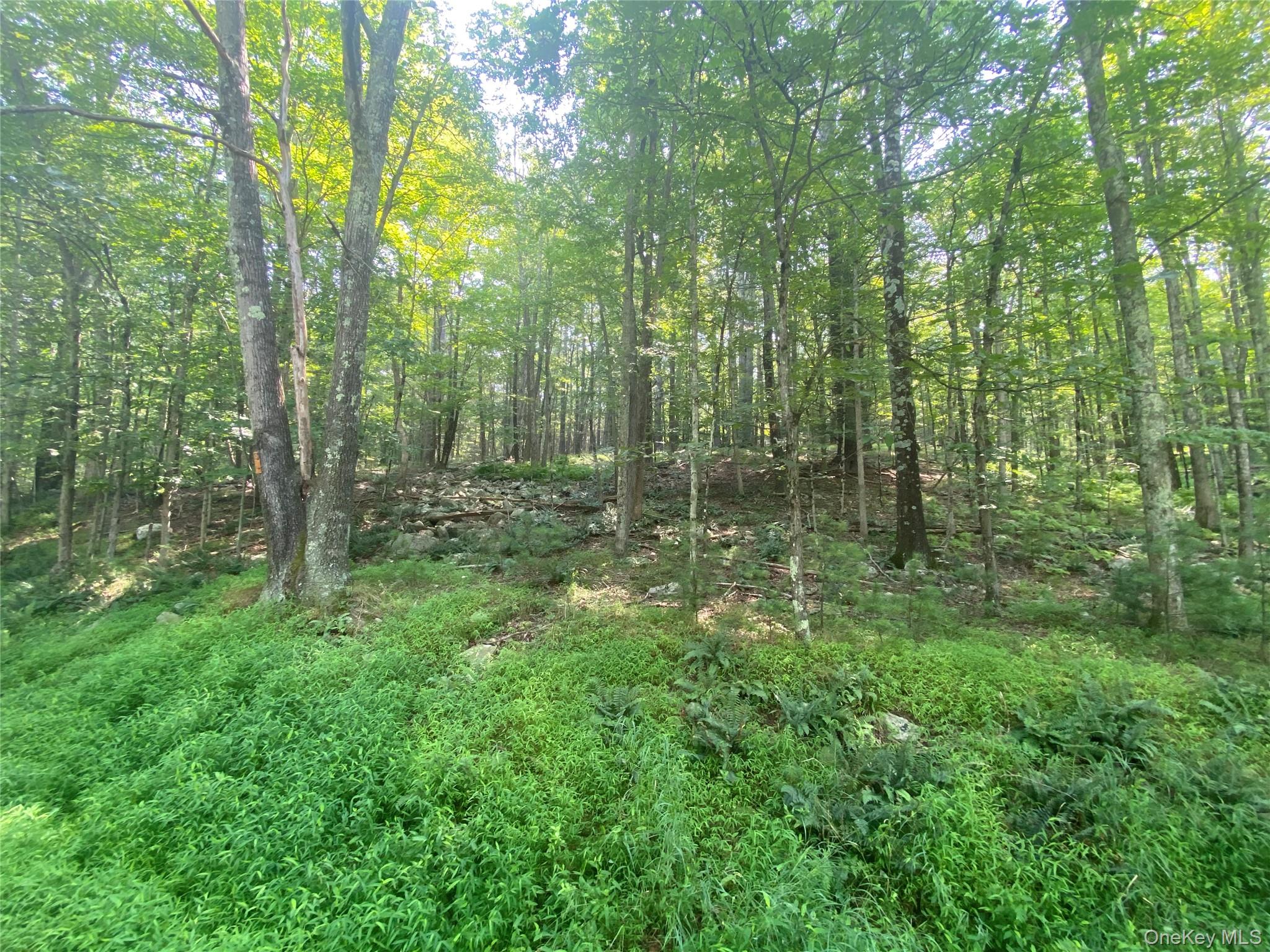 #3 photo, South Road, Wurtsboro , NY 12790