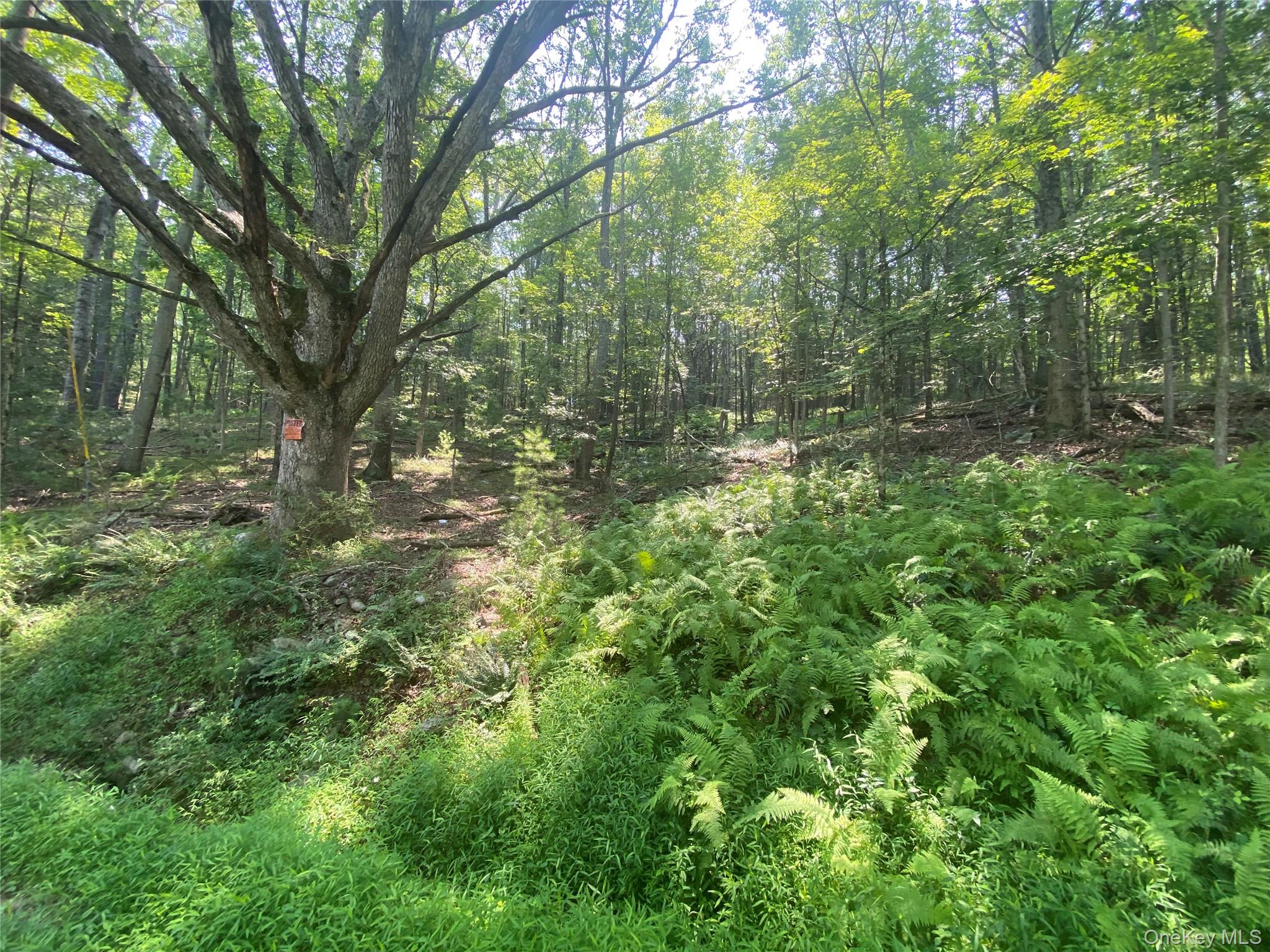 #4 photo, South Road, Wurtsboro , NY 12790