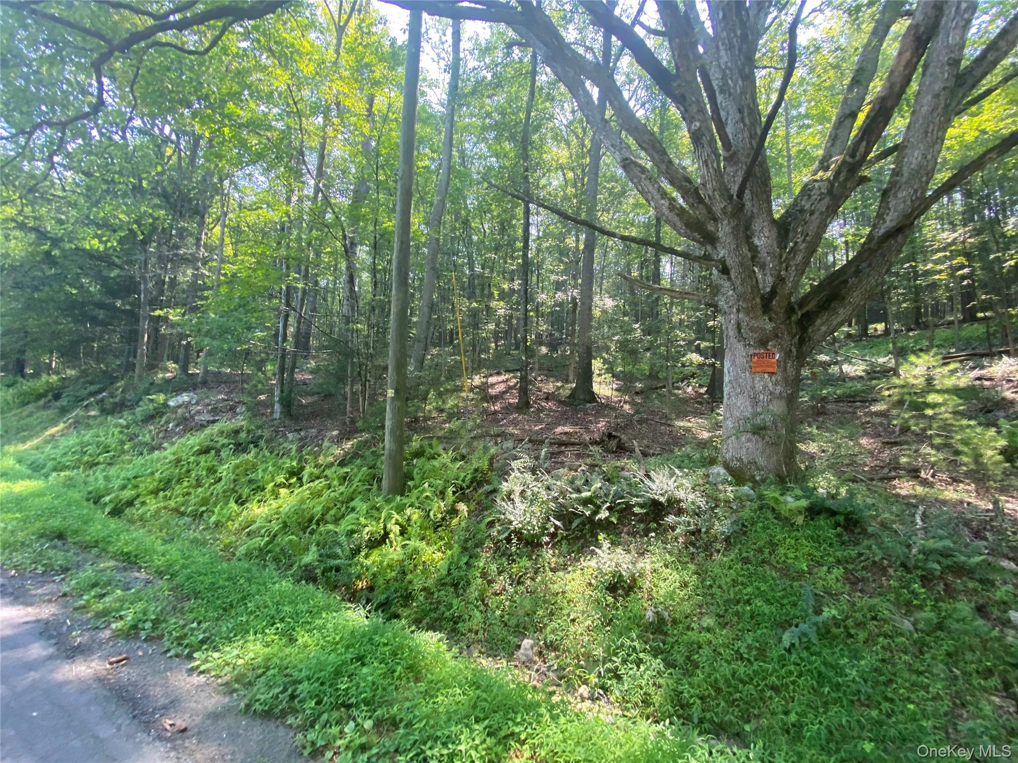 #5 photo, South Road, Wurtsboro , NY 12790