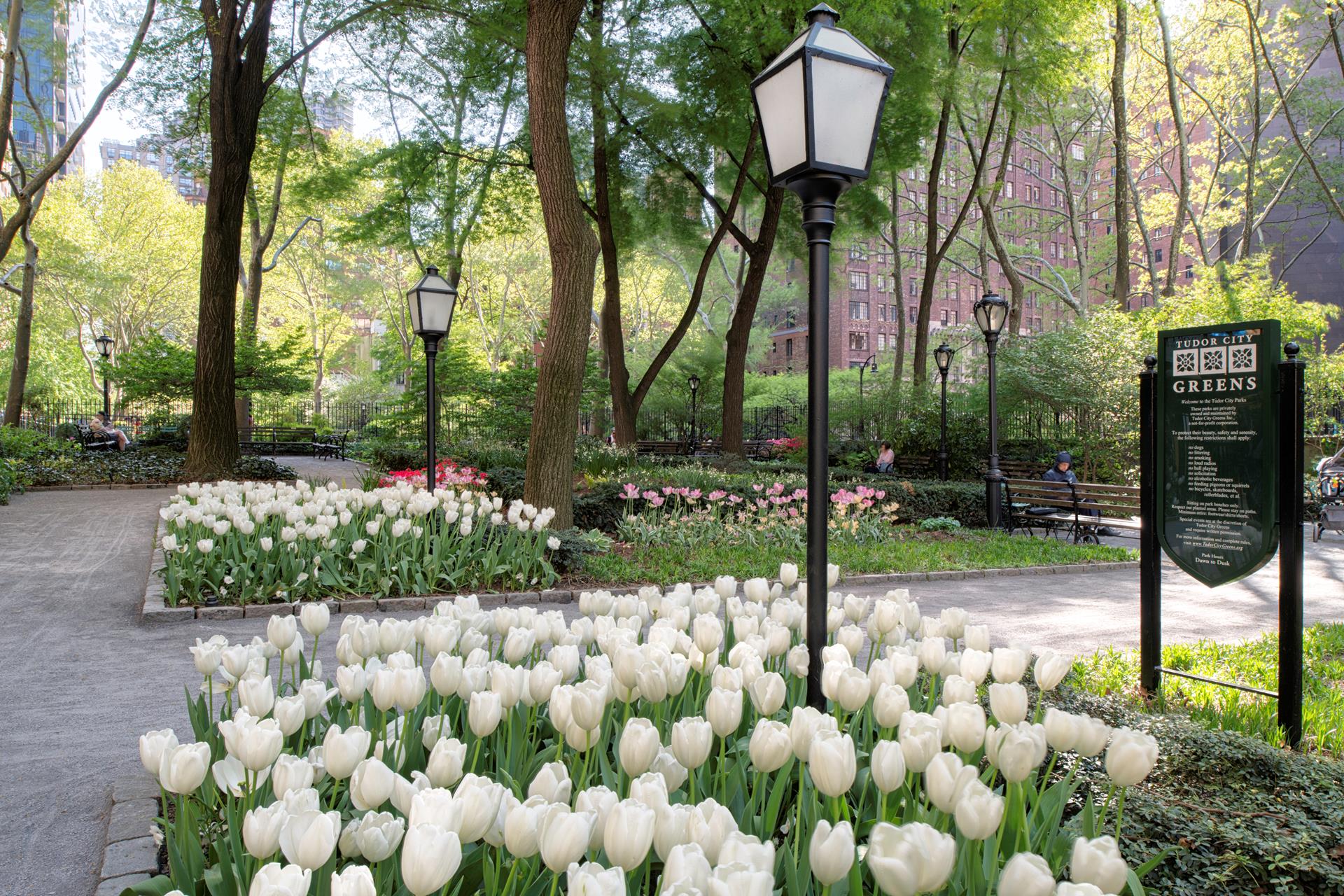 #7 photo, 333 E 43RD Street, マンハッタン Turtle Bay , NY 10017