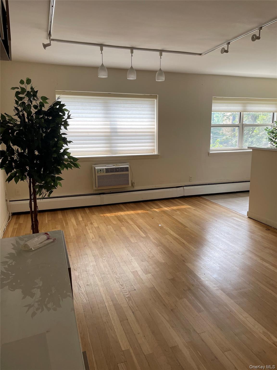 #11 photo, 1 Wooleys Lane, Great Neck , NY 11023