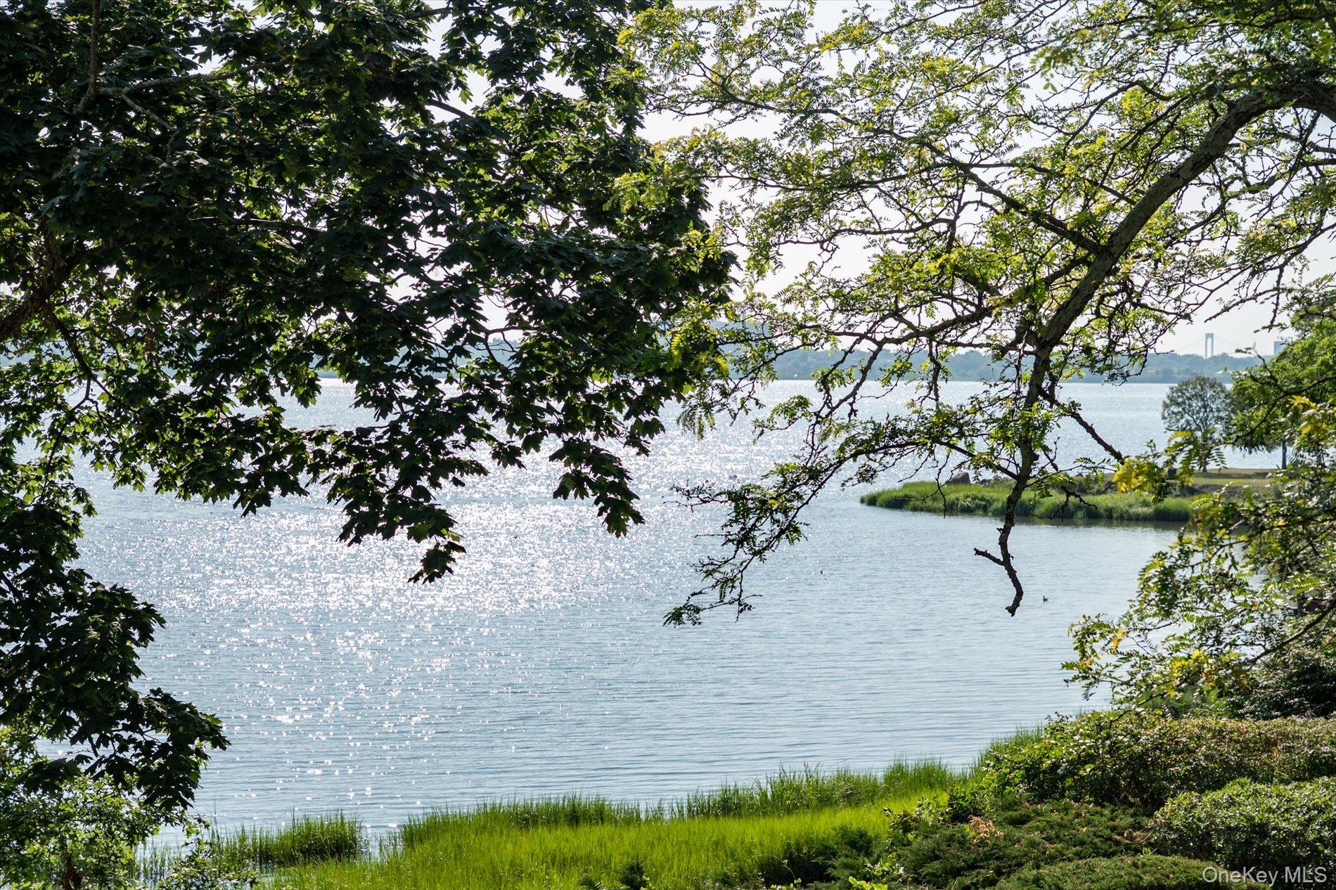 #8 photo, 6 Shore Drive, ナッソー郡 Great Neck , NY 11021