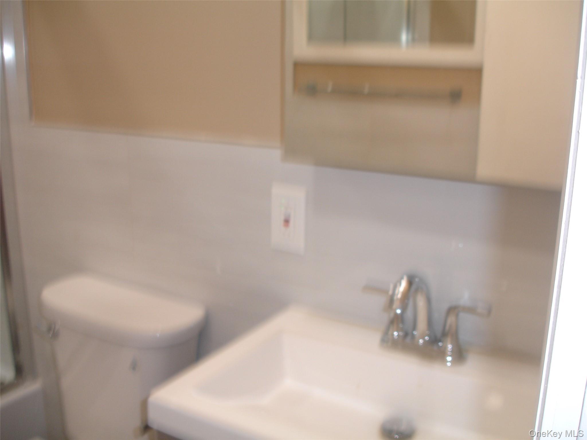 #13 photo, 253 Frederick Avenue, Floral Park , NY 11001