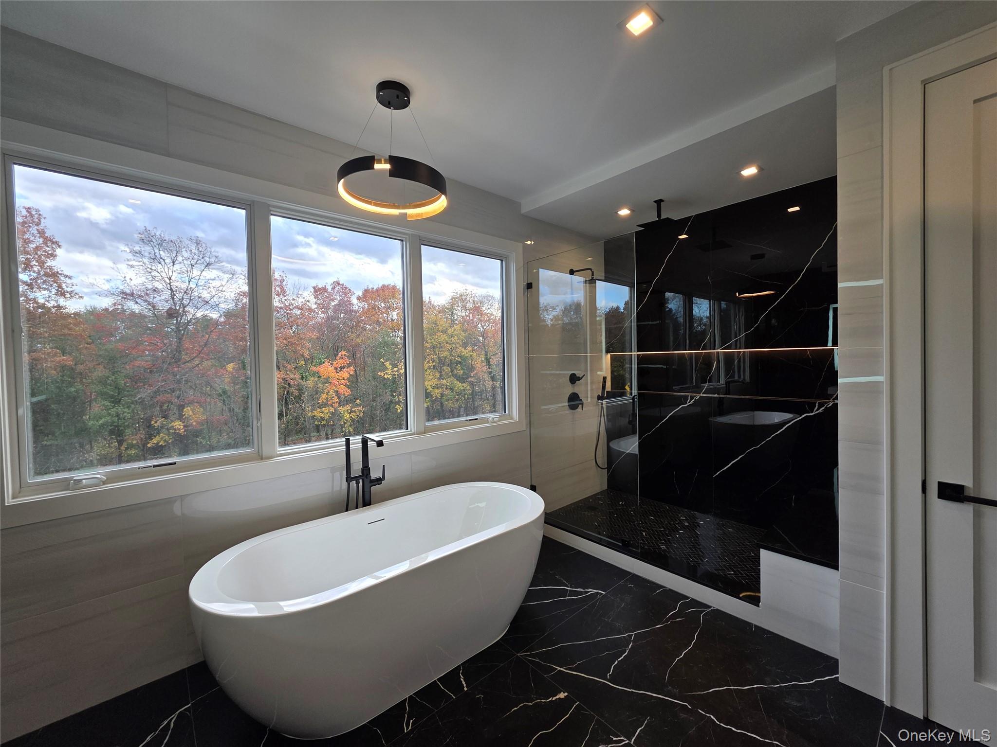 #9 photo, 65 Page Lane, Westbury , NY 11590