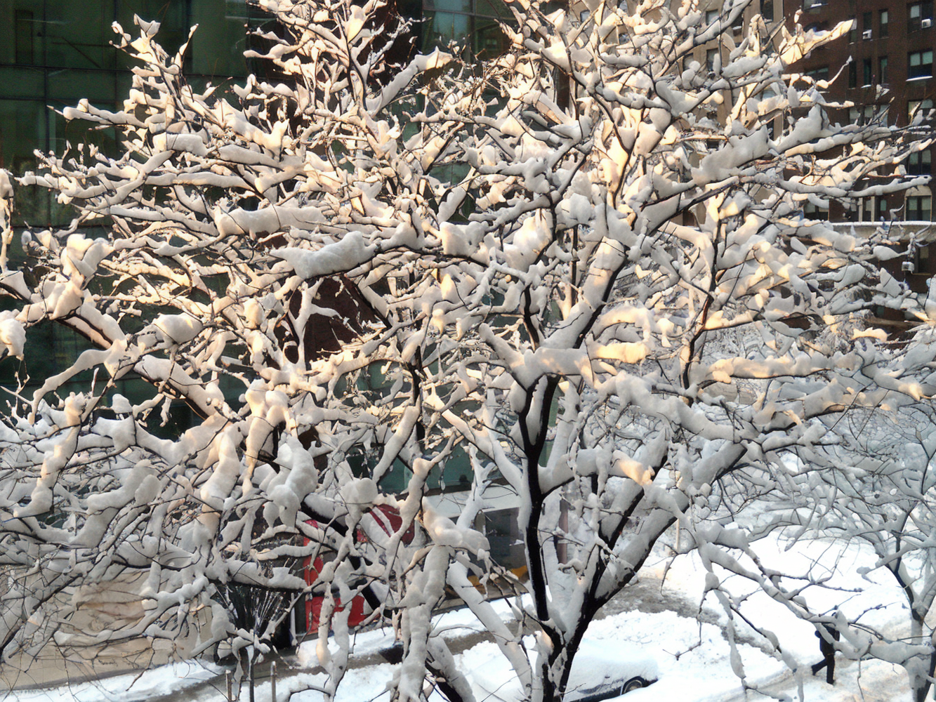 #13 photo, 1065 PARK Avenue, Carnegie Hill , NY 10128