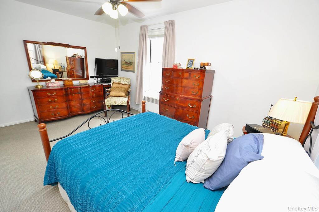 #20 photo, 29 Abeel Street, 纽约州 Yonkers , NY 10705