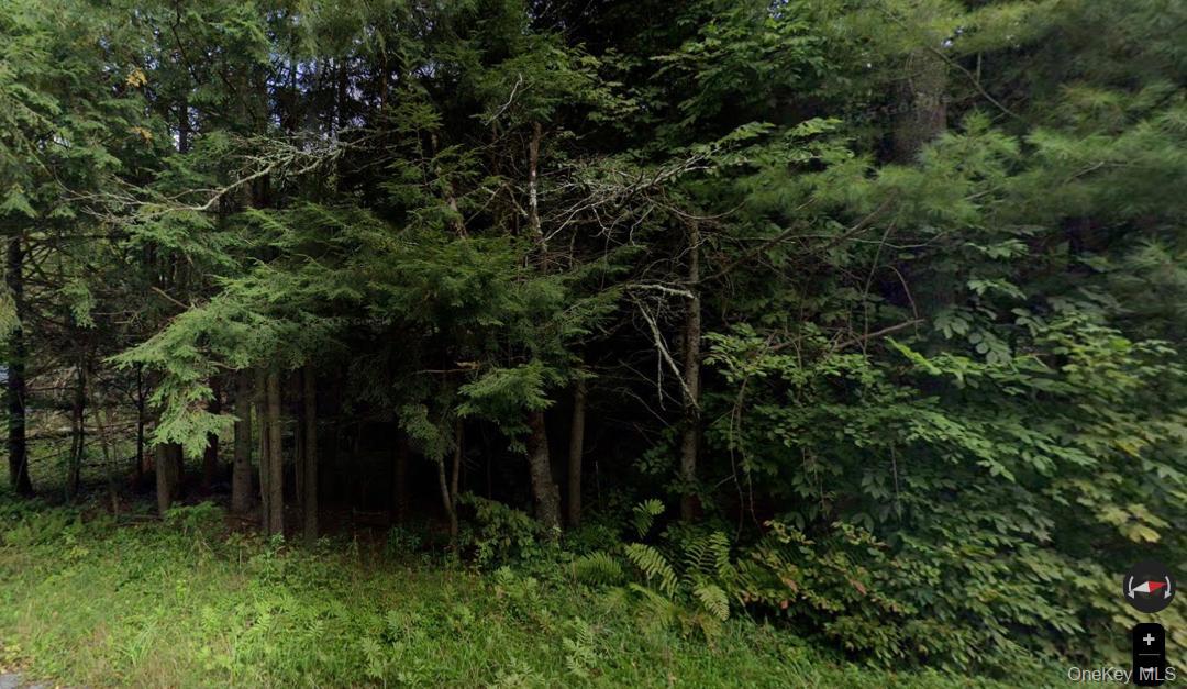 #1 photo, 191 Elm Hollow Road, Livingston Manor , NY 12758