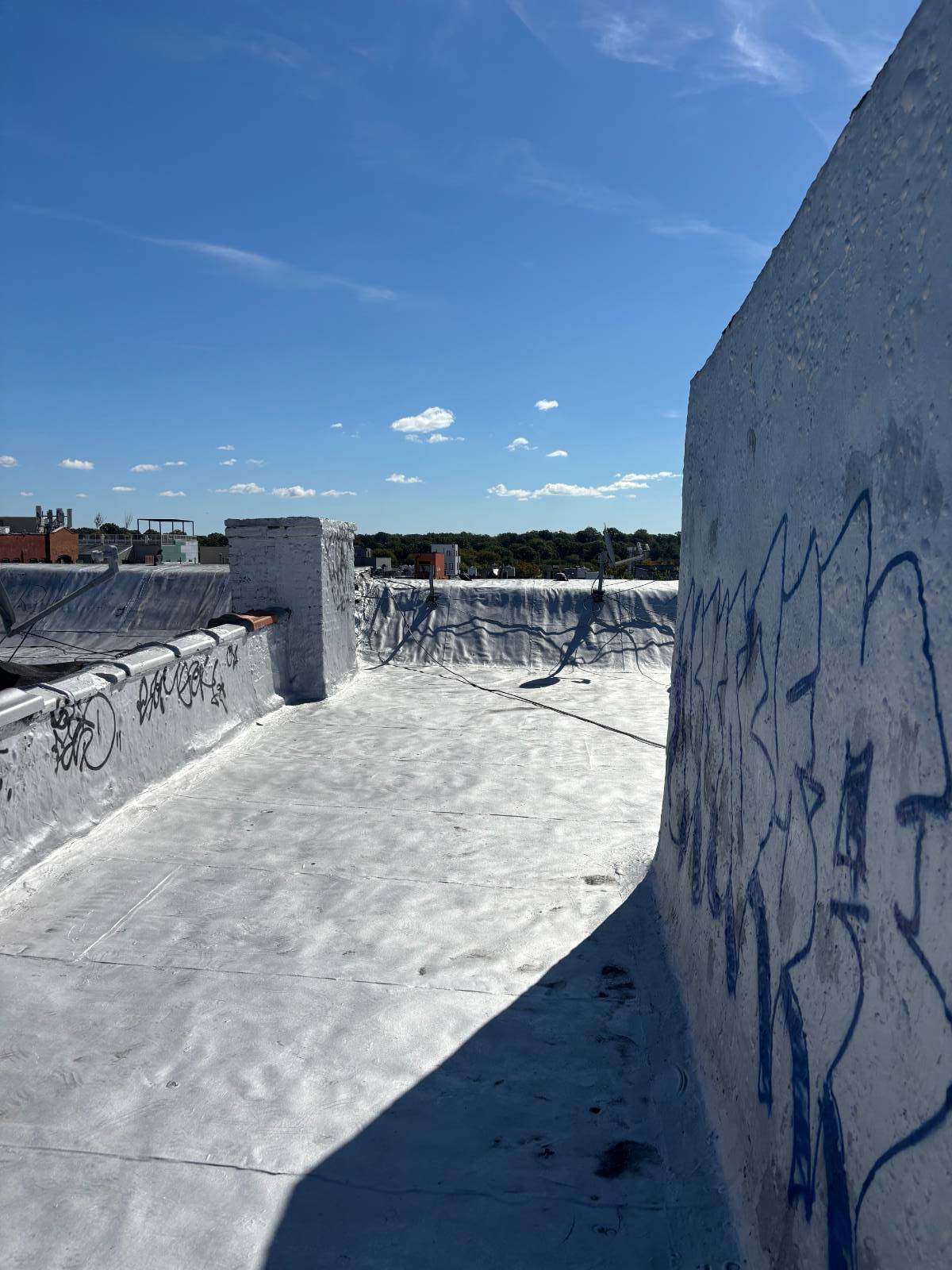 #16 photo, 1231 Halsey St, Bushwick , NY 11237