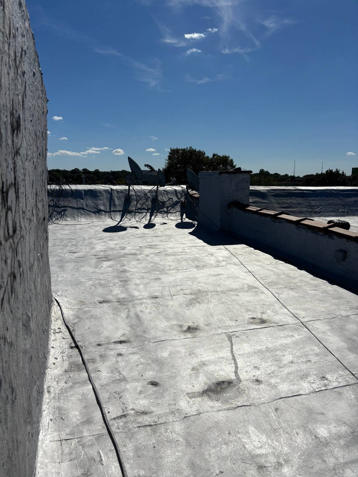 #17 photo, 1231 Halsey St, Bushwick , NY 11237