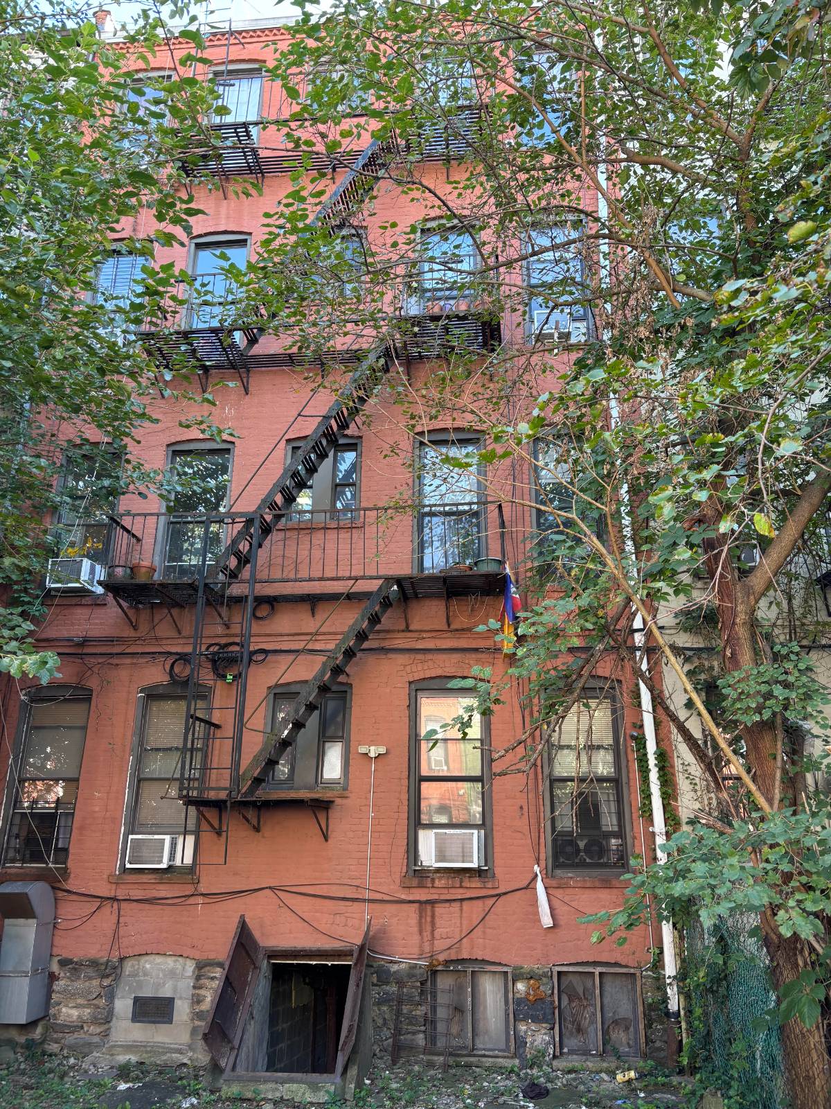 #20 photo, 1231 Halsey St, Bushwick , NY 11237